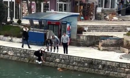 (ВИДЕО) Фудбалери на Струга ТЛ спасија куче од водите на Црн Дрим